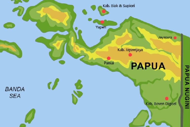 Pepera 1969 Bukti Final Papua Bagian dari NKRI