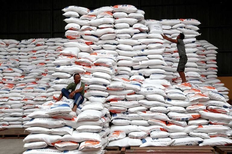 Stok Beras Capai 4 Juta Ton Bukti Komitmen Pemerintah Mantapkan Program Swasembada Pangan
