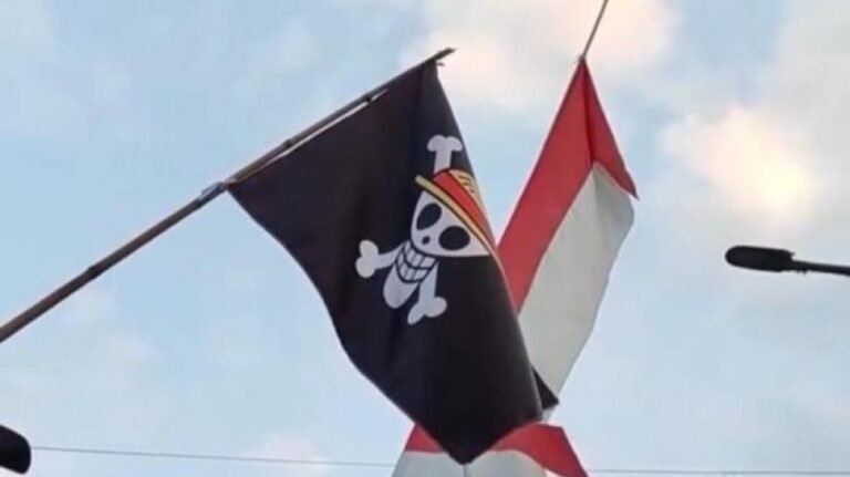 Pengibaran Bendera One Piece Bentuk Kreativitas Asal Tidak Langgar Batas