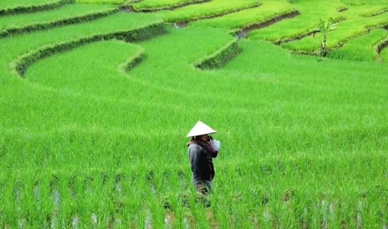 Hilirisasi Pertanian dan Perikanan Perkuat Ketahanan Pangan Berbasis Industri