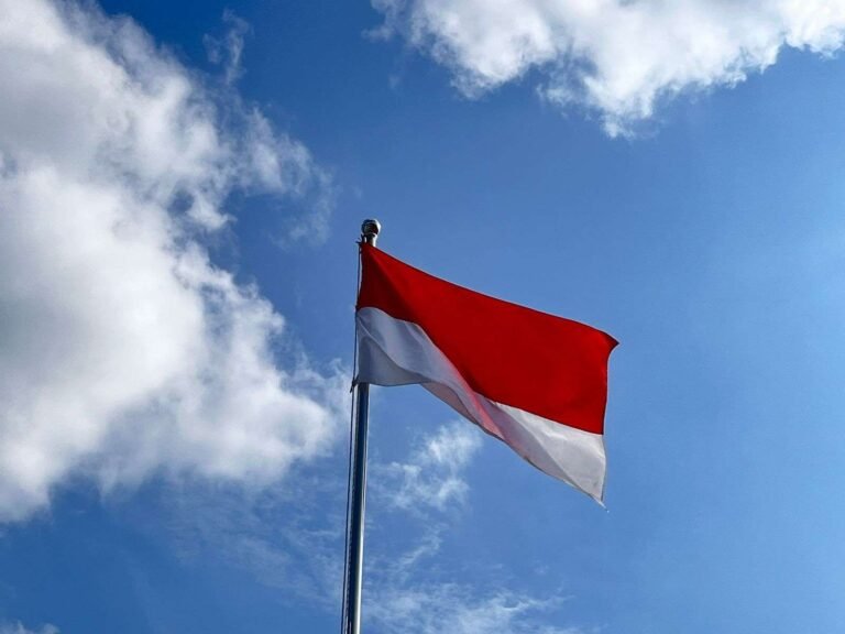Jaga Kehormatan Simbol Negara di Tengah Gelombang Budaya Pop Bendera Bajak Laut