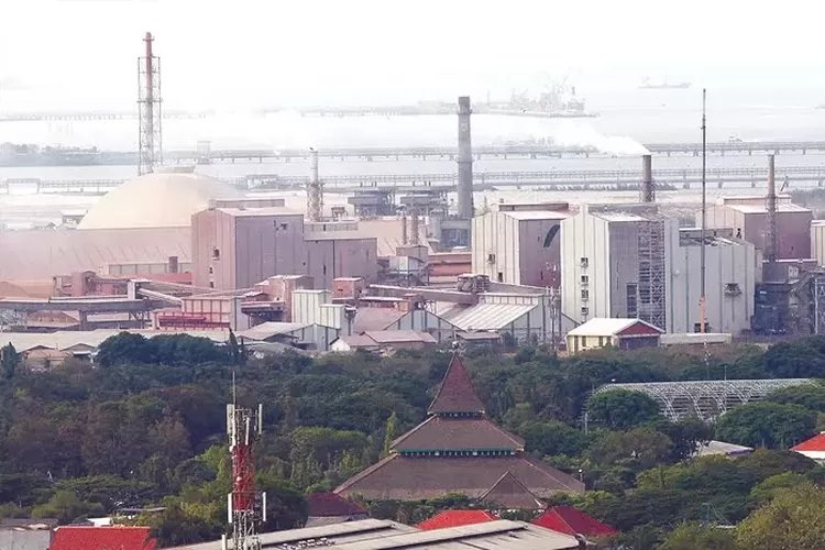 Pemerintah Genjot Hilirisasi, Gandeng Ilmuwan Dunia Dongkrak Ekonomi 8%