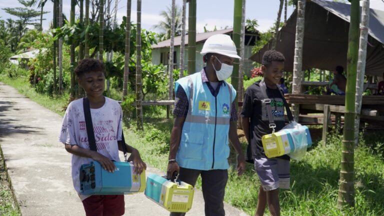 Program Listrik Desa Terangi Papua Di Tahun Pertama Prabowo Gibran
