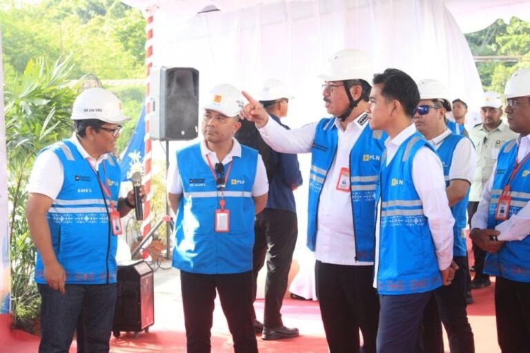 Wapres Gibran Tinjau Proyek Strategis Nasional, Dorong Pemerataan Infrastruktur dan Energi di Wilayah Timur