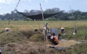 Surplus Beras 4 Juta Ton, Bukti Nyata Swasembada Pangan Nasional di Tahun Pertama PrabowoGibran