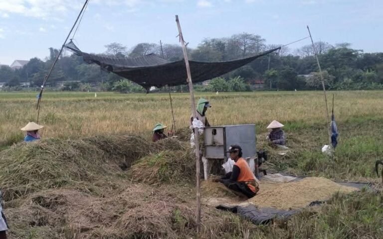 Swasembada Energi dan Pangan Warnai Setahun Pemerintahan Prabowo-Gibran