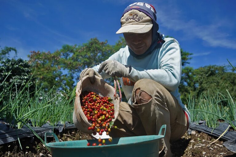 Hilirisasi Perkebunan Tegaskan Keberpihakan Pemerintah kepada Petani
