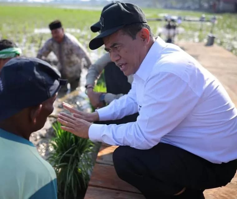 Pemerintah Gaji Petani Pulihkan Sawah Terdampak Bencana