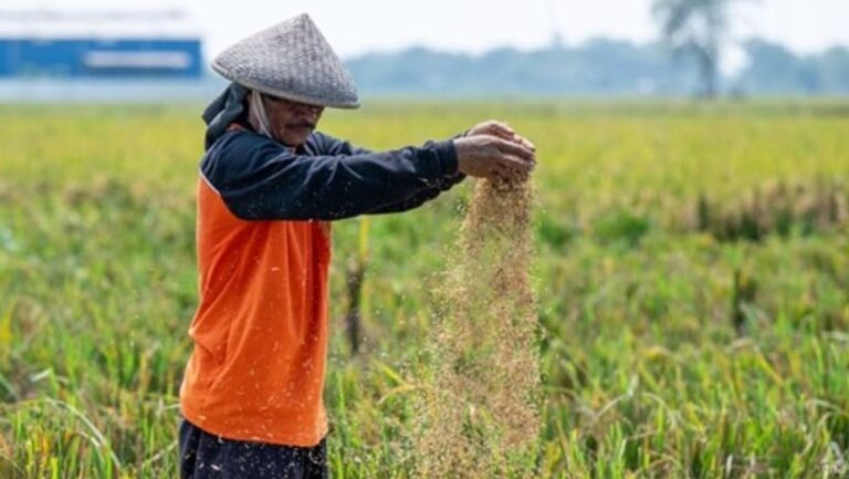 Swasembada Pangan Jadi Bukti Kedaulatan Bangsa, Bukan Sekadar Target Politik