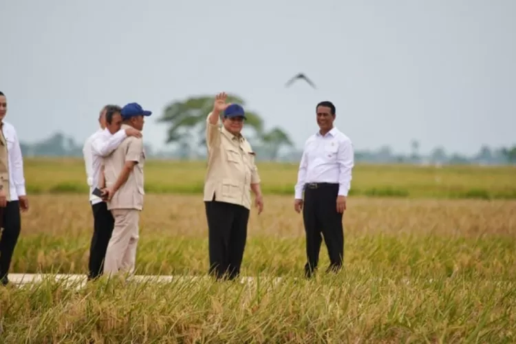 Presiden Prabowo Hadiri Panen Raya, Umumkan Swasembada Pangan dan Ketahanan Beras Terjaga