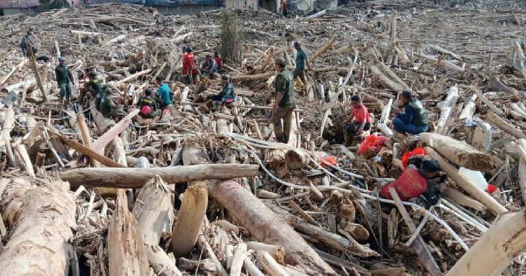 Optimalkan Kayu Pascabanjir di Aceh dan Sumut, Warga Dapat Manfaat Nyata