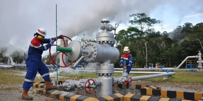 Swasembada Energi, Motor Efek Berganda bagi Kesejahteraan Rakyat