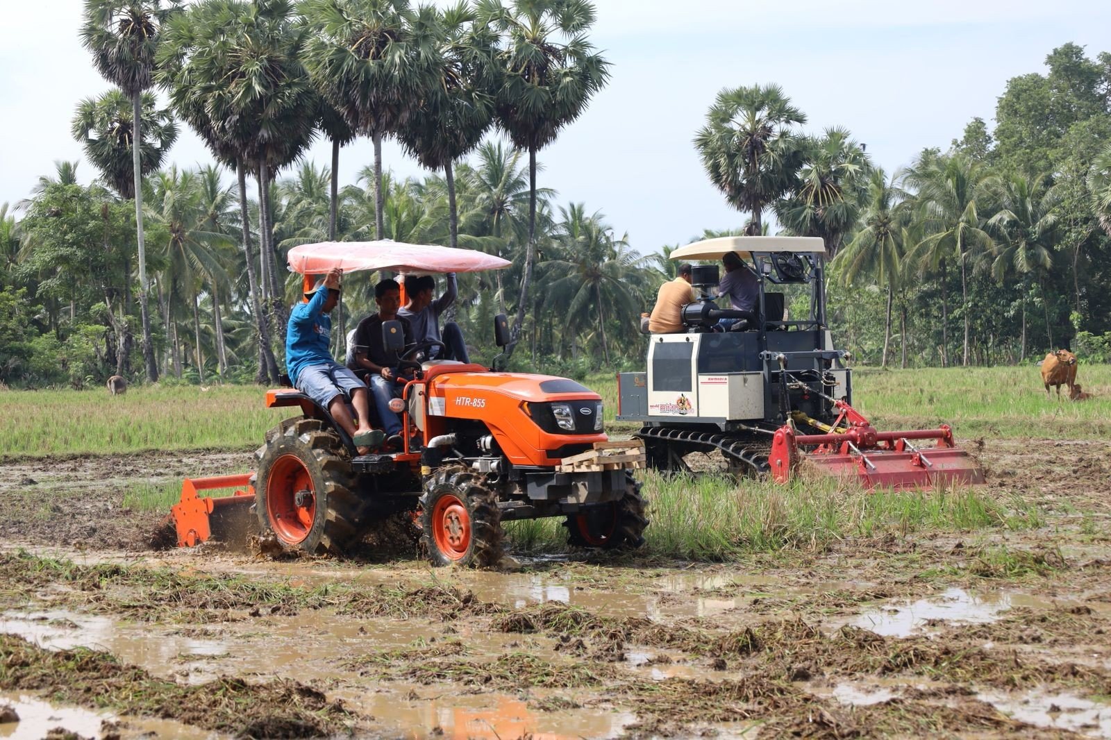 Menguatkan Swasembada Pangan Lewat Transformasi Pertanian Modern