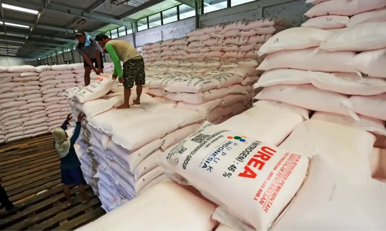 Alokasi Pupuk Subsidi Memperkuat Swasembada Pangan