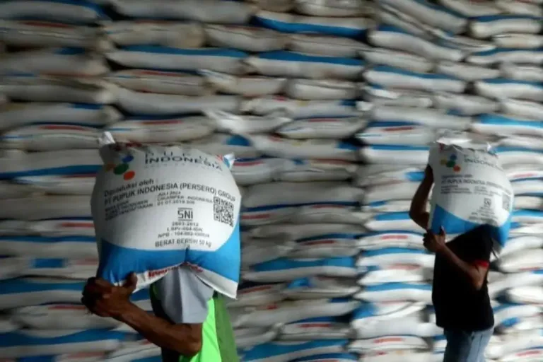 Pemerintah Pastikan Alokasi Pupuk Subsidi untuk Ketahanan Pangan Nasional