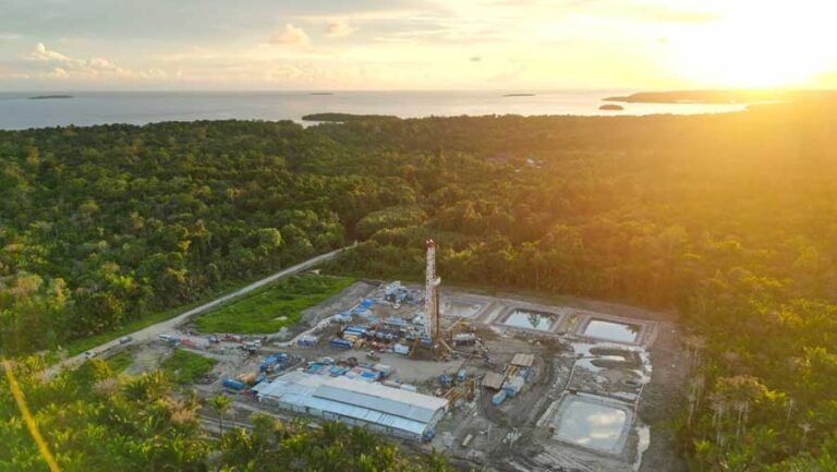 Papua Disiapkan Jadi Sentra Energi, Pemerintah Dorong Pemerataan Manfaat