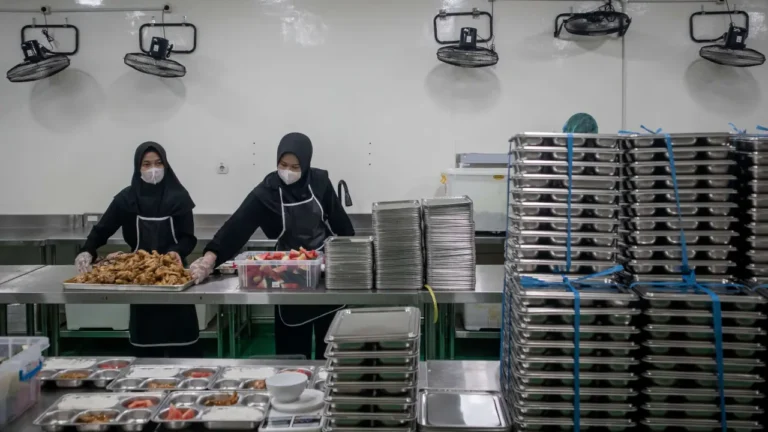 MBG Pacu Produksi dan Distribusi Pangan, Swasembada Kian Menguat