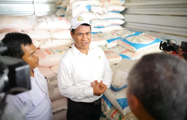 Swasembada Pangan Indonesia Naik Kelas Lewat Ekspor Beras Premium