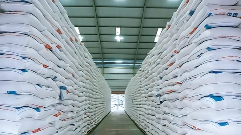 Cadangan Beras Menguat, Ancaman Global dan El Nino Terkendali