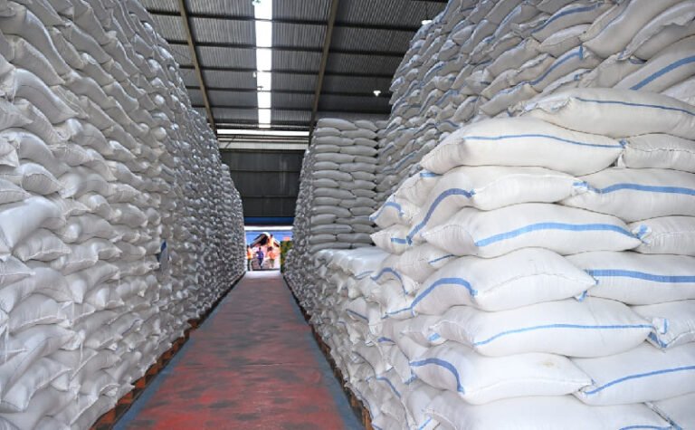 Beras Aman di Tengah Badai Global