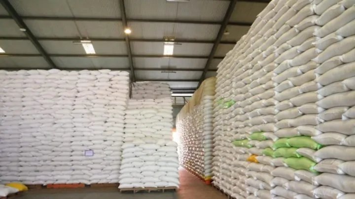 Ketahanan Beras Indonesia di Tengah Tekanan Global dan Iklim