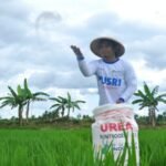 Harga Pupuk Subsidi Dijaga, Petani Tetap Terlindungi dari Dampak Global