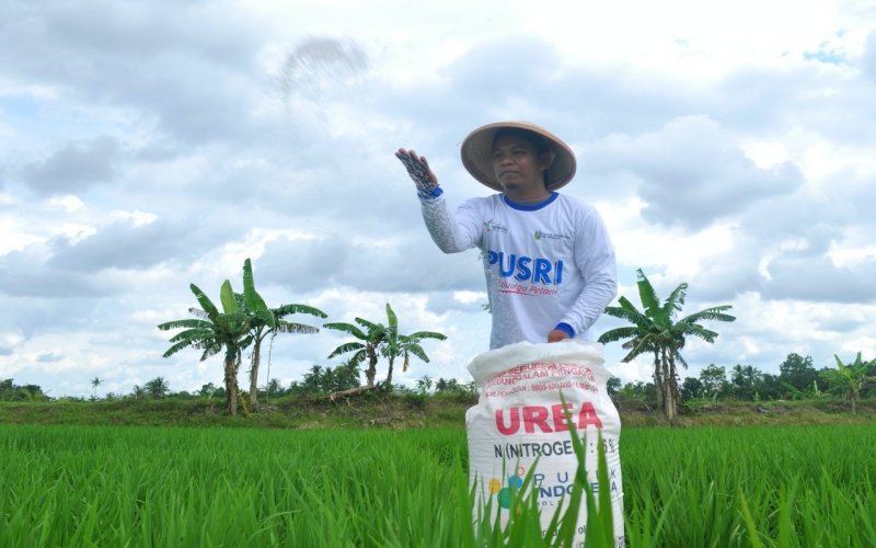 Harga Pupuk Subsidi Dijaga, Petani Tetap Terlindungi dari Dampak Global