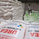 Global Bergejolak, Pupuk Subsidi Indonesia Tetap Terjaga