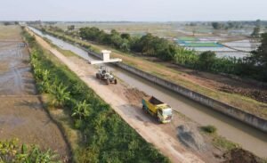 Modernisasi Infrastruktur Irigasi Melalui Pendekatan 3T Perkuat Sektor Pertanian