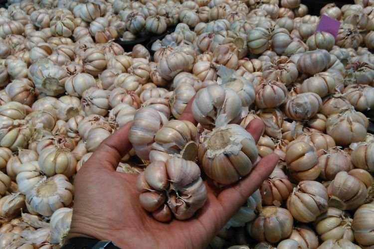 Swasembada Bawang Putih dan Jalan Baru Kedaulatan Pangan Indonesia