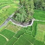 Pemerintah Tegaskan Swasembada Pangan Berkelanjutan sebagai Pilar Kedaulatan Nasional