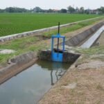 Perbaikan Irigasi Daerah Dorong Produktivitas Pertanian dan Jaga Pasokan Pangan
