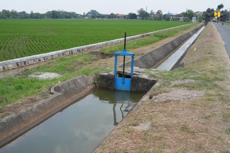 Perbaikan Irigasi Daerah Dorong Produktivitas Pertanian dan Jaga Pasokan Pangan