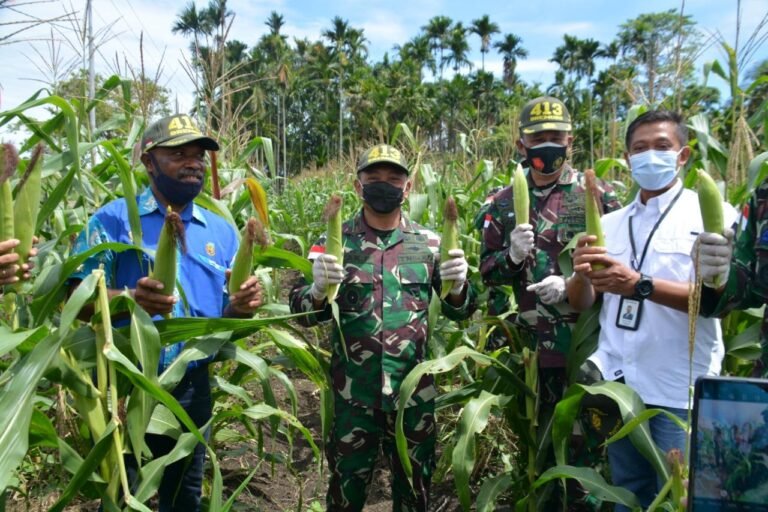 TNI Perkuat Ketahanan Pangan sebagai Pilar Pembangunan Papua
