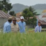 Swasembada Pangan Berkelanjutan dan Jalan Besar Kemandirian Indonesia