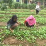 Desa Produktif Menjadi Kunci Ketahanan Pangan Nasional