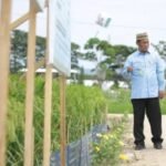Presiden Prabowo Dorong Swasembada Pangan Berkelanjutan hingga Tingkat Desa