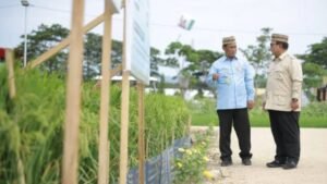 Presiden Prabowo Dorong Swasembada Pangan Berkelanjutan hingga Tingkat Desa