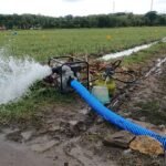 Pemerintah Siapkan Pompa, Bibit, dan Alsintan untuk Lindungi Petani dari Kekeringan