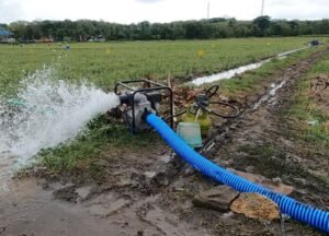 Pemerintah Siapkan Pompa, Bibit, dan Alsintan untuk Lindungi Petani dari Kekeringan