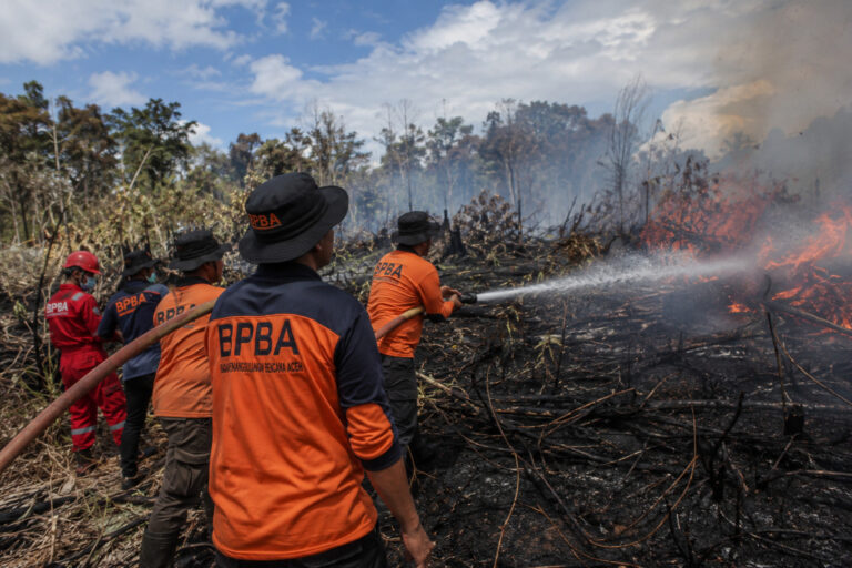 Upaya Pencegahan Karhutla Terus Digencarkan di Wilayah Rawan