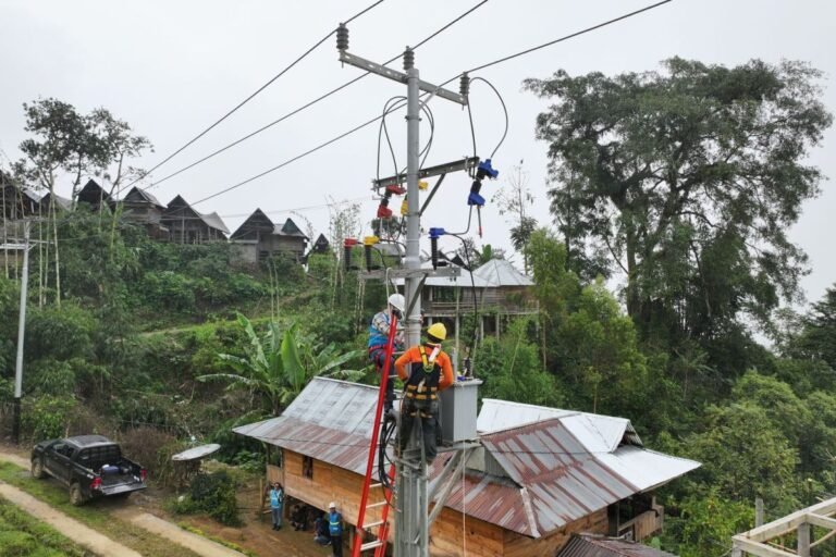 Elektrifikasi Desa Jadi Bukti Komitmen Pemerintah Hadirkan Listrik hingga Pelosok