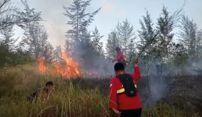 Gerak Cepat Pusat dan Daerah Hadapi Karhutla