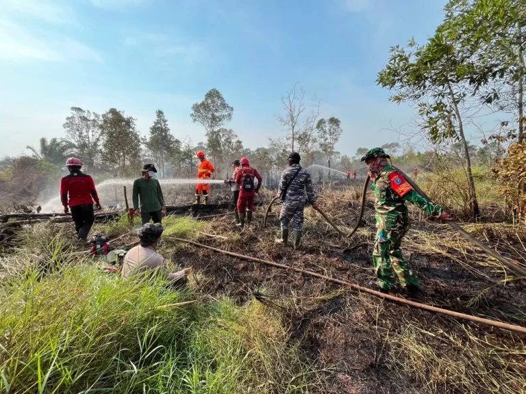 Pemerintah Perkuat Mitigasi Karhutla di Sumatra, Kalimantan, dan Papua