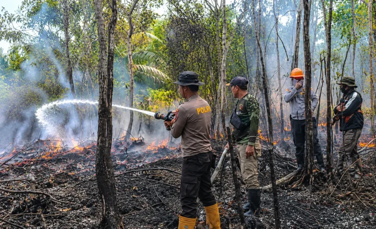Negara Hadir, Karhutla Sumatra hingga Papua Ditangani Terpadu