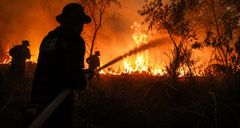 Gerak Cepat Pusat dan Daerah Hadapi Karhutla