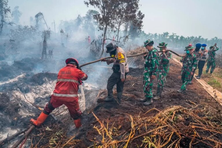 Penanganan Karhutla Sumatra hingga Papua, Cepat, Terpadu, dan Tegas