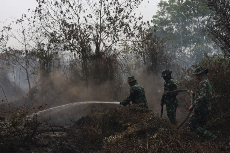 Negara Siapkan Dana Bencana untuk Lindungi Warga dari Karhutla