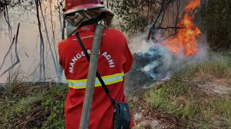 Pemerintah Siagakan Kekuatan Darat dan Udara Tangani Karhutla
