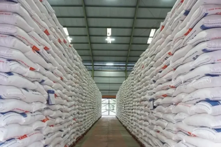 Pemerintah Perkuat BULOG untuk Jaga Swasembada Pangan dan Stok Nasional